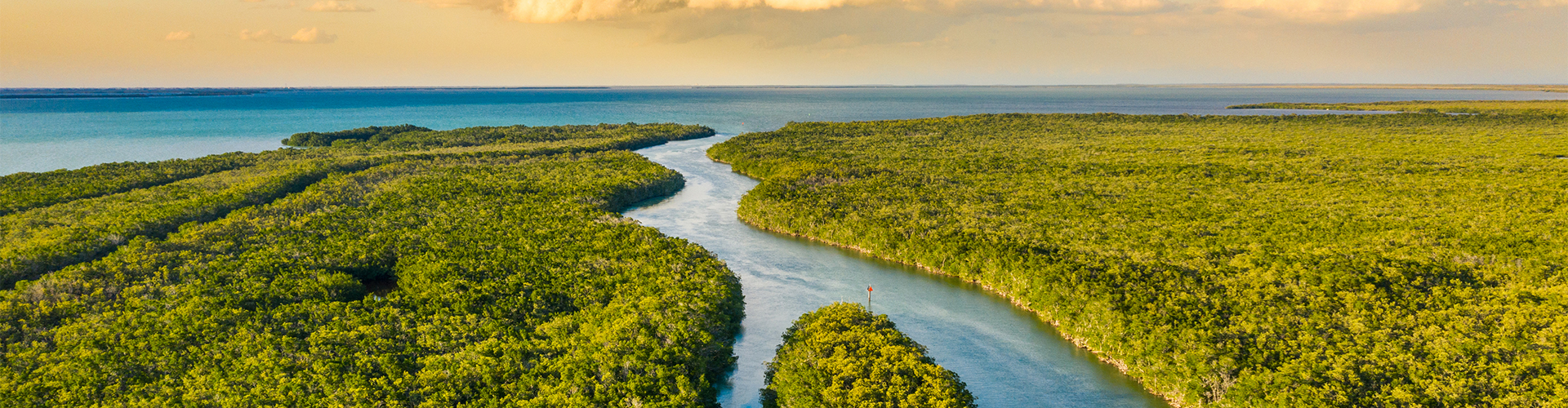 Southwest Florida Branch of the FL Chapter of APWA - Home Page